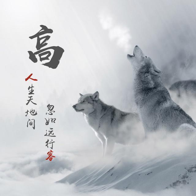 微信头像姓名头像36张狼图腾上山虎喜欢拿走不谢