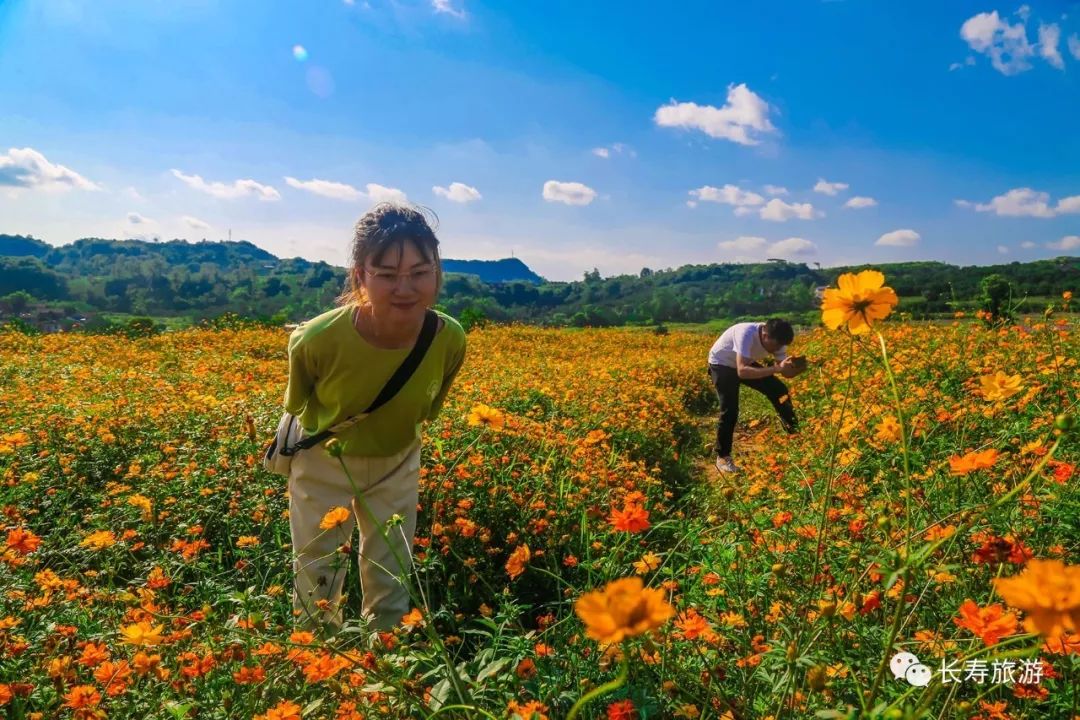 花海音乐美食啤酒昨晚邻封很嗨很happy