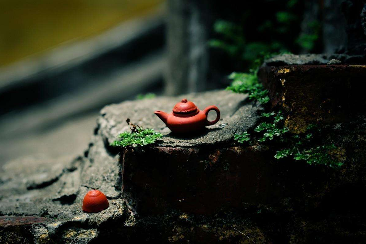 你所能理解的一期一会又是什么