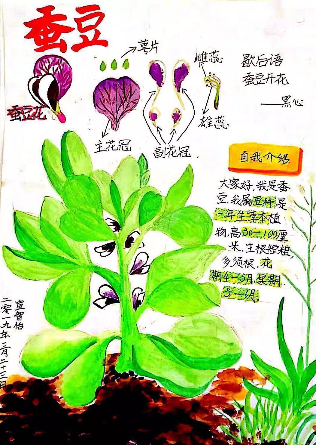 西湖区首届中小学生自然笔记评比展示活动开始孩子们快来投稿吧