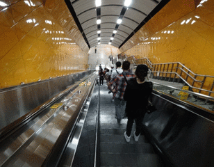308_240gif 动态图 动图