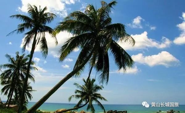 海南雨林海——黄山直飞