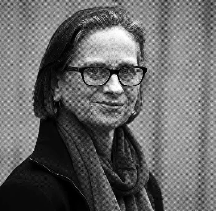 莉迪亚戴维斯阿莉史密斯福楼拜的十个故事