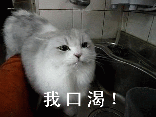 你真的会切西瓜吗?这其实是个公平分配博弈问题