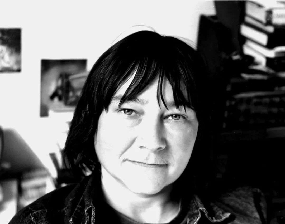 莉迪亚戴维斯阿莉史密斯福楼拜的十个故事