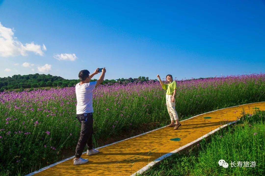 花海音乐美食啤酒昨晚邻封很嗨很happy