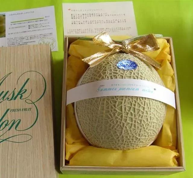 200美元一个瓜,天价日本静冈蜜瓜,值得老板学习的成功秘诀