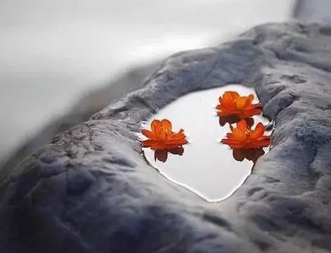 自心清净何来烦恼