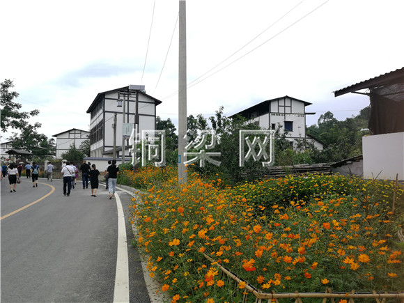 蒲吕街道康济村:推进环境整治 建设美丽乡村