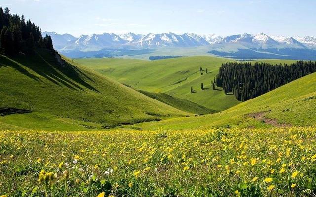 北疆准噶尔盆地草原