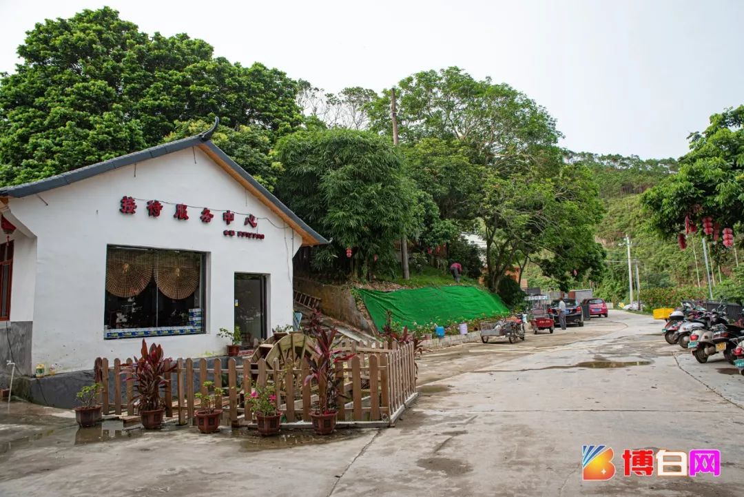 绿树之中深藏了:绿珠渡假山庄里面绿树成荫,在这里,差不多几个月下来