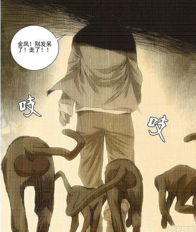 耕四郎是索隆故乡道馆的馆主,西摩志基村一心道场