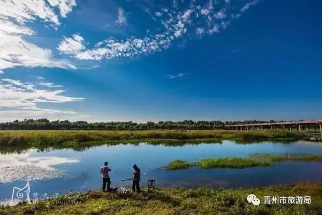 弥河网站建设_(弥河大坝最新消息)