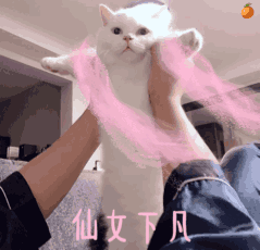 图文店客户管理：把握营销先机