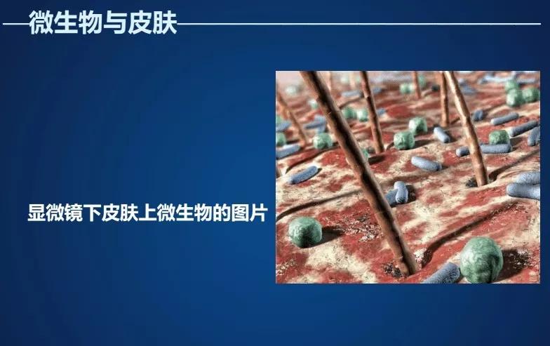 剖析化妆品越用皮肤越差的原因_微生物