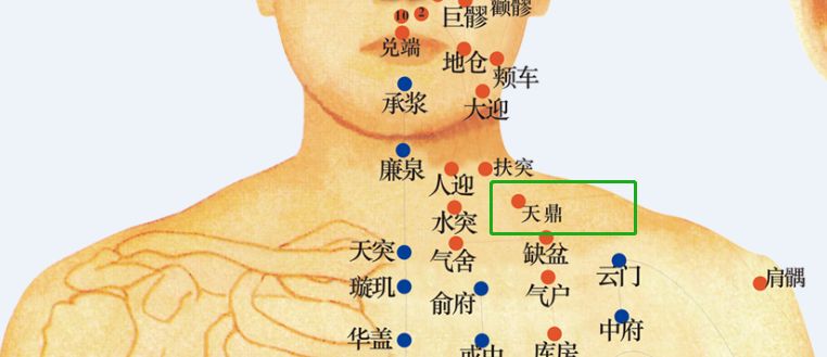 2按缺盆将拇指置于缺盆穴(取法:坐位.