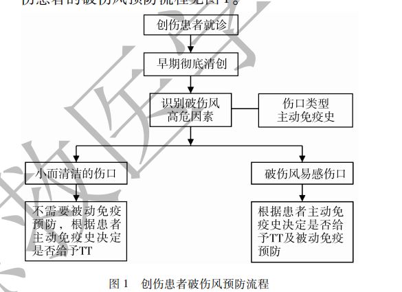 破伤风注射部位图解图片