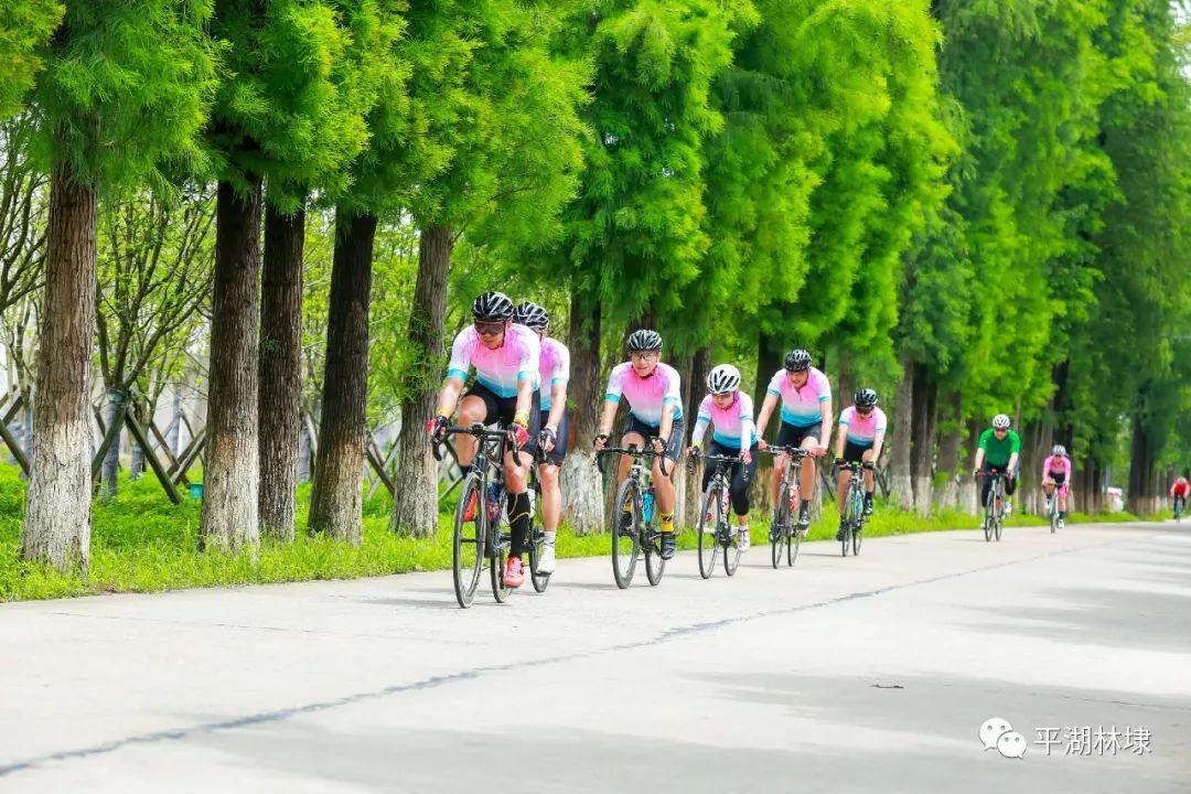 美丽龙乡,骑归田园—2019平湖第三届环林埭骑行赛暨第十三届全国