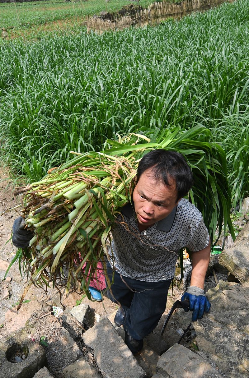 "石山王国"一个单腿汉子的脱贫路_仕林