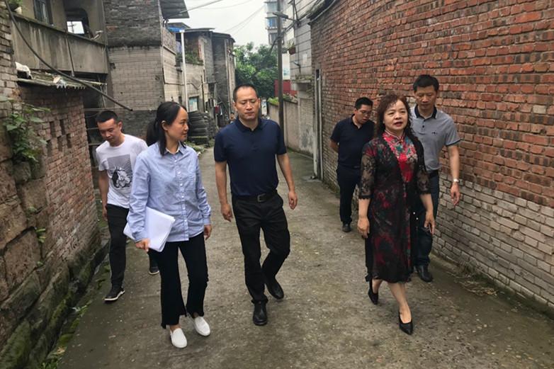 市自然资源和规划局副局长陈世伟率队检查指导龙马潭区安全隐患工作