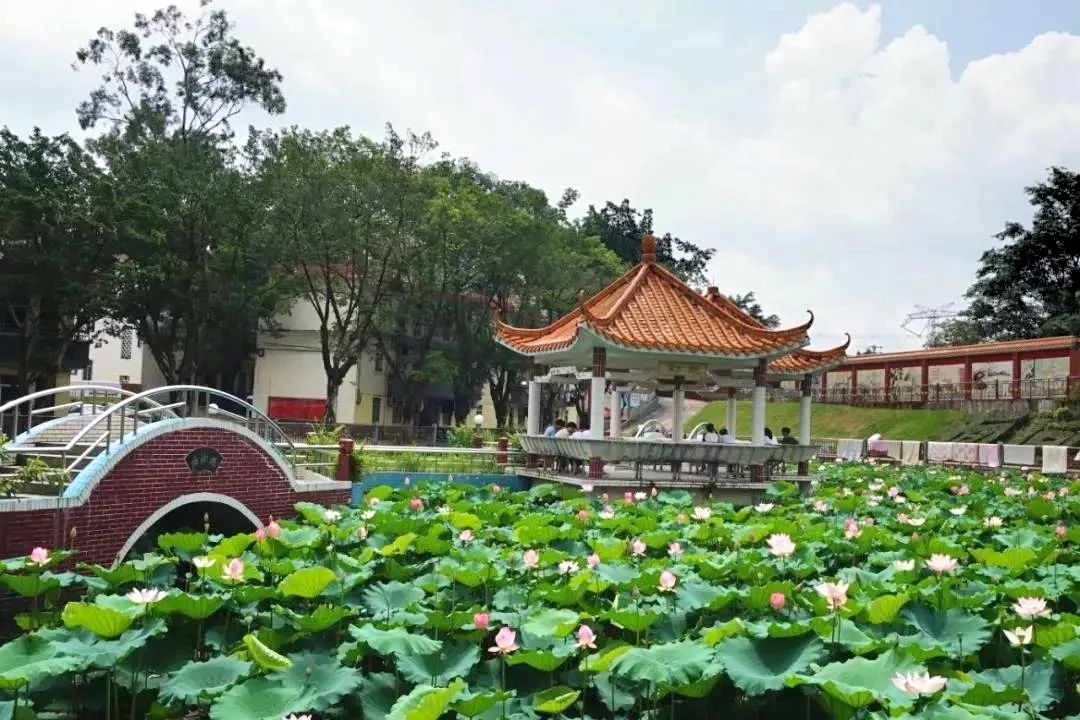 博罗龙溪旅游景点图片