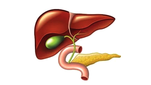 膽囊炎膽囊結石息肉可以這樣治這幾味藥方能有效保護膽囊