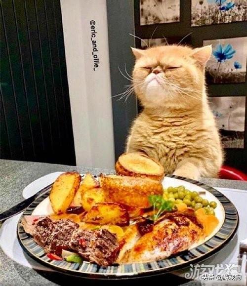 每日趣图分享:当我发出这张图之后你应该懂我意思吧