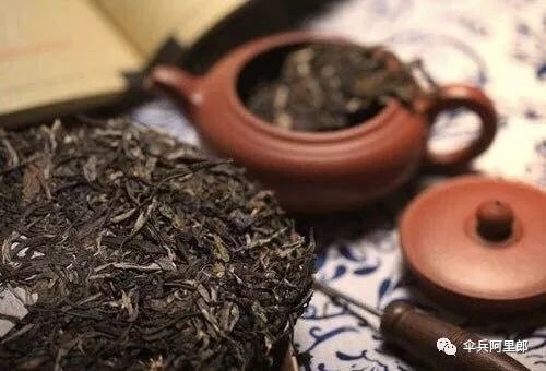 普洱茶界的新星—金帆牌普洱茶