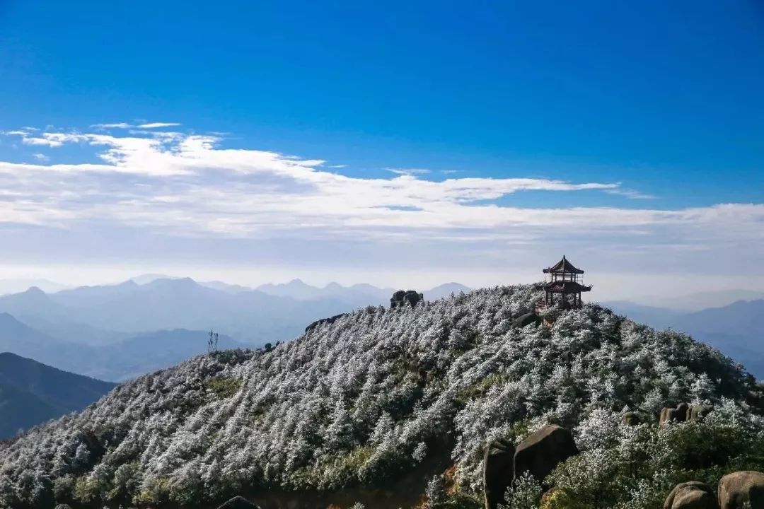 人少景美,夏日打卡的好去处!