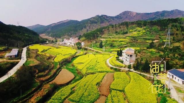 田堂村大打旅游牌,先后争取资金200多万元,建成村游客中心,并引回在外