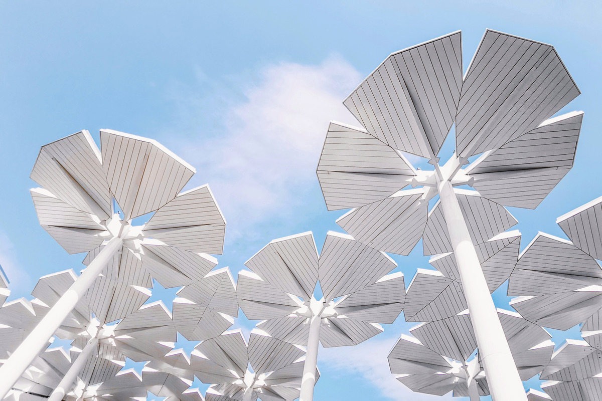 图虫建筑摄影:北京世园会国际馆,花伞柱组成了满天星