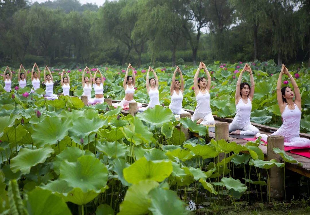 世界瑜伽日 舒展身姿练瑜伽