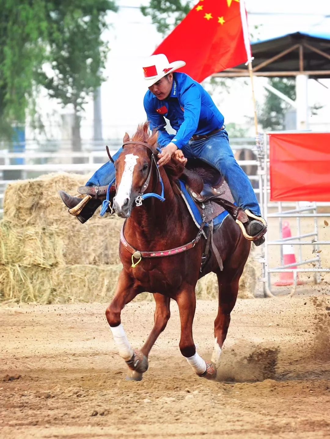 中馬國際西部馬術促進會北京會俱樂部聯賽寶利站成績公告