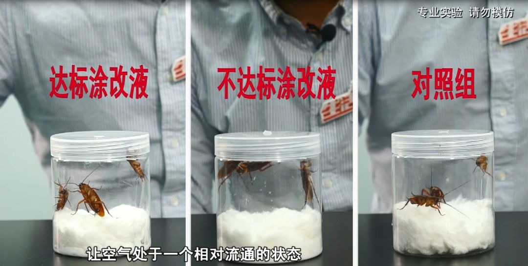 当蟑螂遇上涂改液时候还能是小强吗