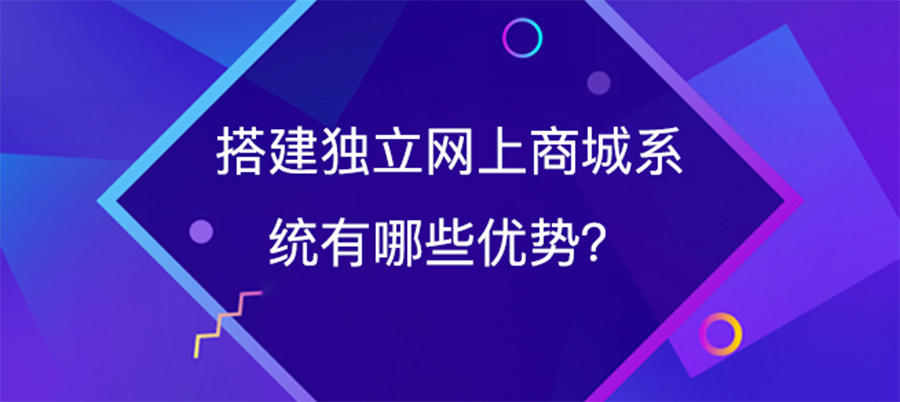 企業搭建獨立網上商城系統有哪些優勢