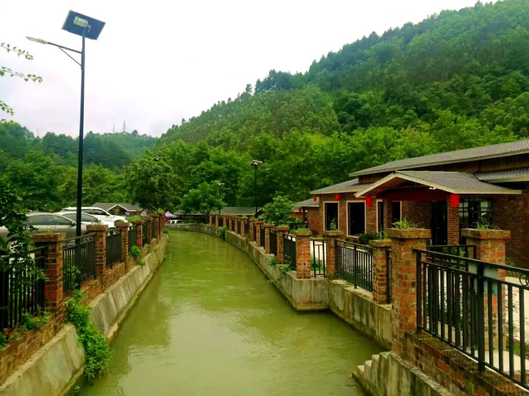 百色又添好去处德保鉴河水岸星月湾赏田园风光品农家美食