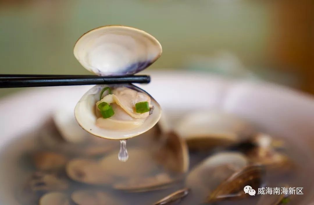 【南海美食】皇宫贡品—南海文蛤