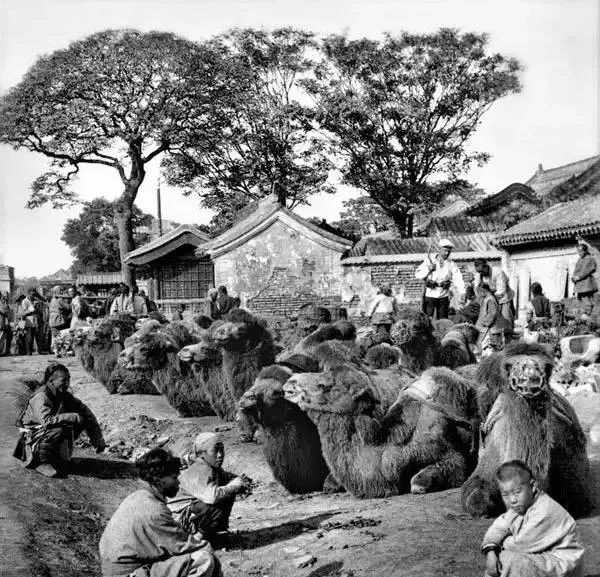 1860~1949:老照片中的近代中国风情