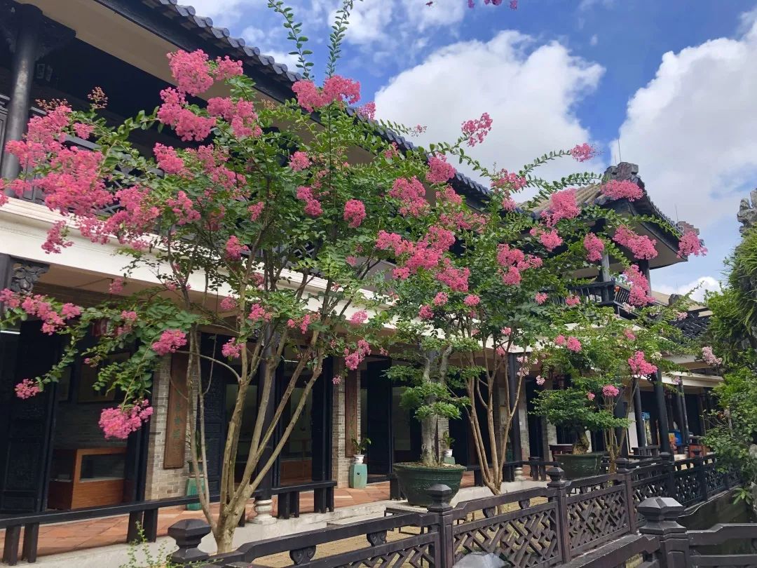 全域旅游美翻了又到紫薇花开时余荫山房约你来赏花