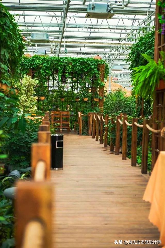 04,常见的生态餐厅种类利用温室创造出适合动植物生长的环境,在生态园