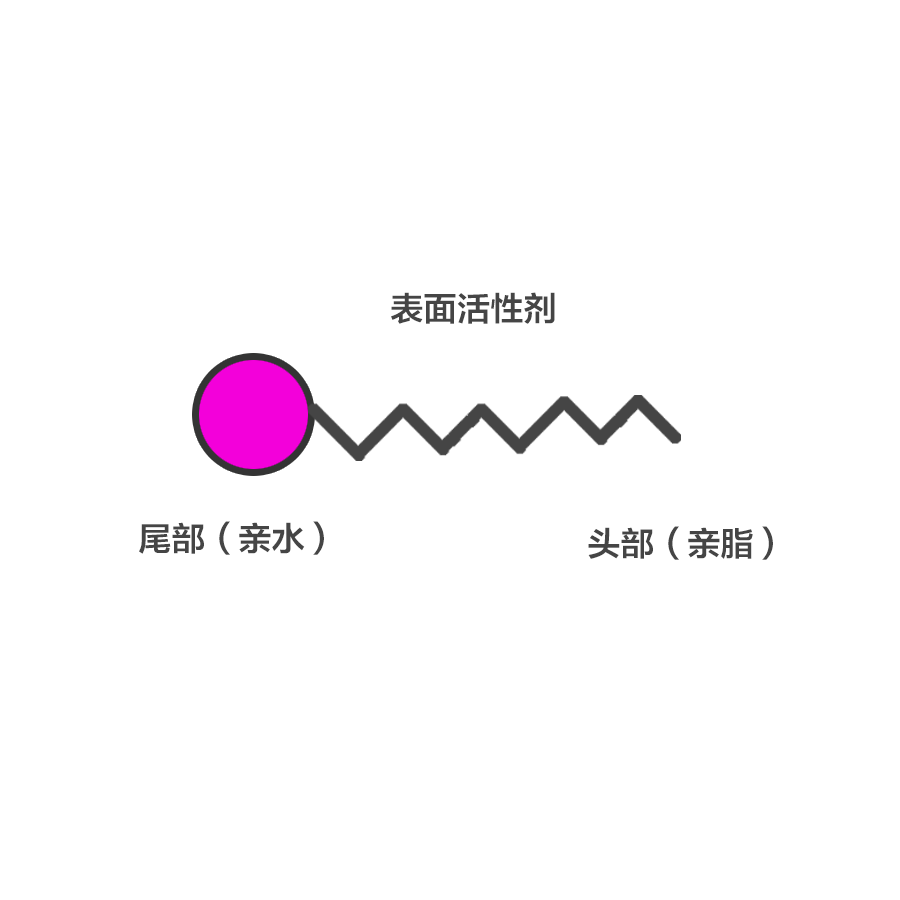 磷脂头部图片