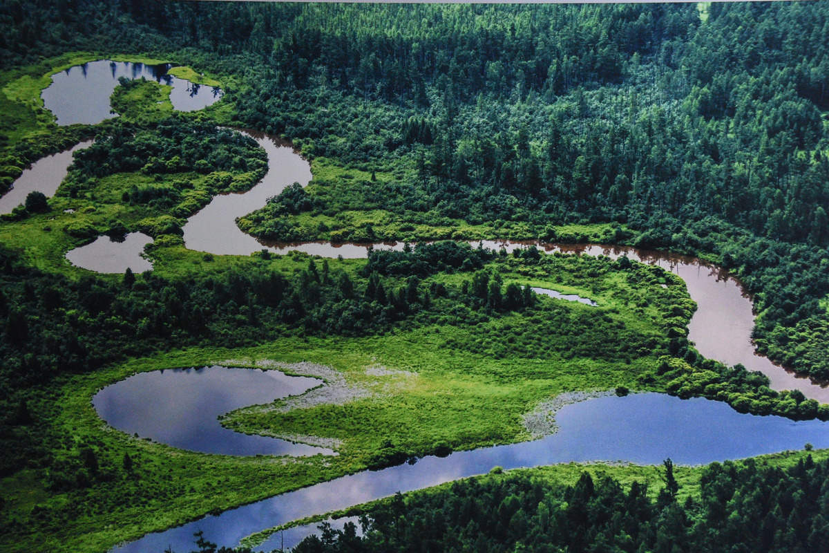 图虫人文摄影:大美沾河生态摄影展在黑河市博物馆开幕