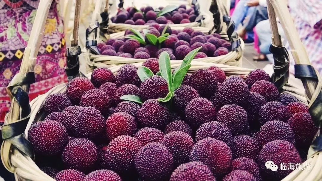 临海杨梅上市啦去哪摘这一份杨梅采摘攻略送给你