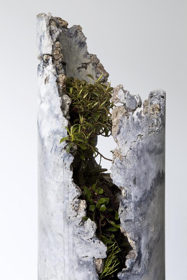 混凝土的艺术与创意