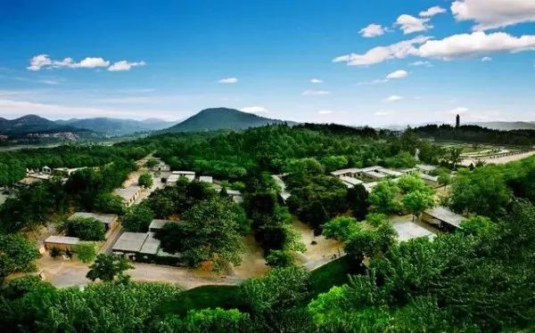 《革命圣地西柏坡旧址全貌》《乡亲父老》(中央电视台心连心艺术团