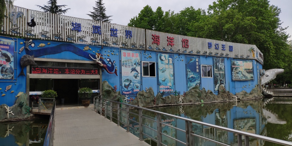 上面的都是老项目了,主要就是带孩子来玩耍的,比如动物园,海洋馆