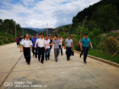 西双版纳副州长刘俊杰西双版纳海关关长何勇等一行到关累港调研