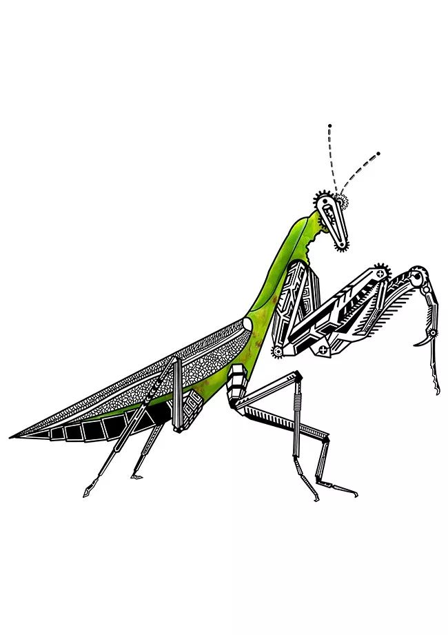 最强毕业季60期推荐 | 《虫殇》昆虫形象视觉设计_作品