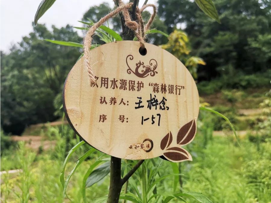 大批公益人士通过线上线下方式积极参与树苗认养.