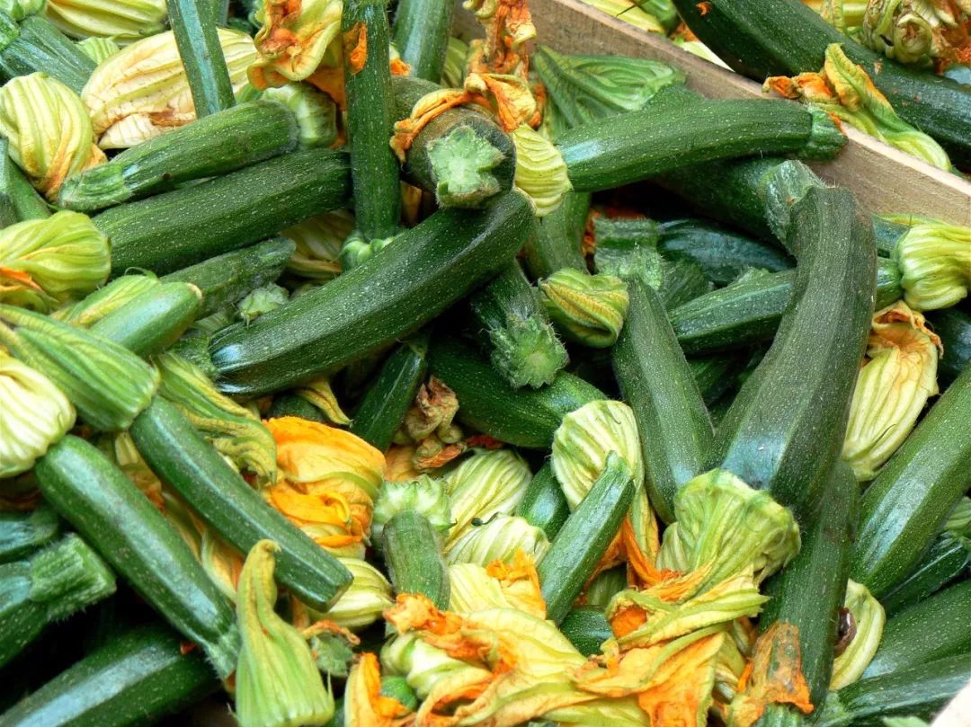 西葫芦别称:西葫,熊(雄)瓜,白瓜,番瓜美洲南瓜,小瓜,菜瓜,荨瓜,熏瓜.